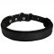 Innovative Pitbull Collar - Felt Padded Leather Dog Collar for Attack/Agitation training 1 inch (2.5cm) width