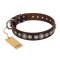 "Step and Sparkle" FDT Artisan Glamorous Studded Brown Leather Pitbull Collar