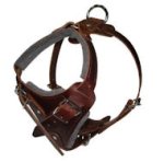 Hands Free Control Dog Harness for Pitbull