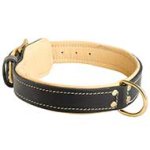 Royal Nappa Padded Hand Made Leather Dog Collar