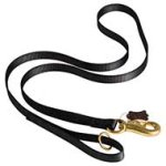 Any Weather Nylon Leads with Extra Strong Snap Hook for Pitbull