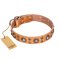 'Extra Sparkle' FDT Artisan Pitbull Tan Leather Dog Collar