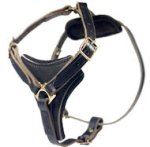 Latigo Adjustable Harness-Pitbull Leather Harness