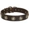 Leather Dog Collar with Silvery Conchos