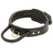 Advanced Leather Dog Collar With Extra Durable Handle for Pitbulls