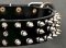 Canine Deluxe Spiked Leather Dog Collar for Pitbull