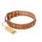 "Natural Beauty" FDT Artisan Tan Leather Pitbull Collar with Old Bronze-like Circles and Plates