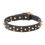 "Space Travel" Leather Collar with Brass Stars and Spikes