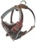 Dog Body Harness for Pitbull-BEST Leather Dog Harness
