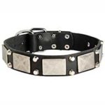 Precious Pitbull Collar - 2 Pyramids + Plate Adorned Leather Collar