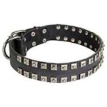 Fashion Leather Pitbull Collar Decorated in "Caterpillar Style"