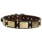 War Style Pitbull Leather Dog Collar Brass Massive Plates + 2 Pyramids