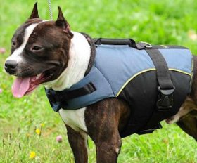Vest Dog Harness - Weatherproof Nylon Dog Harness with Handle