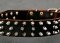 Leather Spiked Dog Collar-3 Rows of spikes