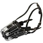 'No Mash' Best Wire Dog Muzzle with Soft Leather Lining for Handsome Pitbull