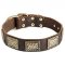 Luxury Leather Dog Collar for Pitbull