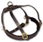 Leather Tracking Harness for Pitbull -Pulling Harness