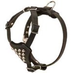 Stylish Studded Leather Harness for Pitbull Puppies
