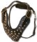 Two-Ply Latigo Dog Harness with Studs for Pitbull