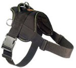 Looking for EzyDog Harness for Pitbull