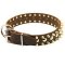 Gorgeous Spiked and Studded Leather Pitbull Collar