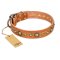"Feast of Luxury" FDT Artisan Tan Leather Pitbull Collar with Old Bronze Look Circles