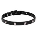 "A La Mode" Leather Pitbull Collar with Chrome Plated Pyramids (3/4 Inch (20 mm) wide)