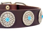Western Leather Dog Collar w/h turquoise stones for Pitbull