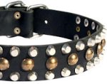 Leather Dog Collars with Studs for Pitbull