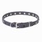 "Stellar" Narrow Leather Pitbull Collar with Nickel Plated Studs