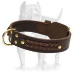 Braided Leather Dog Collar for PITBULL