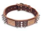 Spiked Brown collar 26'' for PITBULL /26 inch dog collar-C86