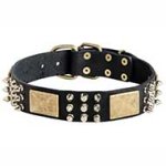 Vintage Style Leather Pitbull Collar