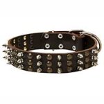 Chic Leather Pitbull Collar with Spikes and Studs Rows