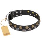 "Romantic Breeze" FDT Artisan Black Leather Pitbull Collar with Riveted Circles