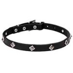 "Cosmic Stars" Narrow Leather Dog Collar with Chrome Plated Studs