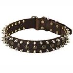 APBT 3 Rows Leather Spiked and Studded Dog Collar