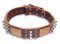 Spiked Brown collar 26'' for PITBULL /26 inch dog collar-C86