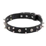 "Jolly Roger" Leather Collar with Nickel-plated Skulls and 2 Rows of Spikes