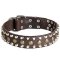High Quality Leather Pitbull Collar with Pyramids and Studs