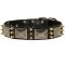 Gorgeous War Leather Dog Collar with Massive Plates+3 Brass Spikes