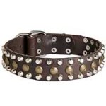 Stunning Pitbull Leather Collar with 3 Rows of Pyramids and Studs