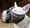 Bull Terrier Hand painted leather Muzzle "Dondi" Plus
