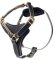 2-ply Latigo Leather Harness for Pitbull