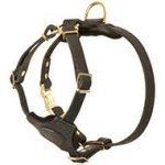 Small Leather Dog Harness for Pitbull puppy