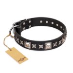 'Space Walk' FDT Artisan Black Leather Pitbull Collar with Adornments
