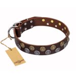 'Strong Shields' Handcrafted FDT Artisan Leather Pitbull Collar with Exclusive Decor