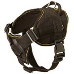 Premium Nylon Dog Harness-Uniquely Designed Comfortable Educative Dog Equipment