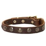 Fancy Studded Leather Dog Collar