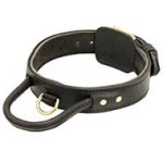 Advanced Leather Dog Collar With Extra Durable Handle for Pitbulls